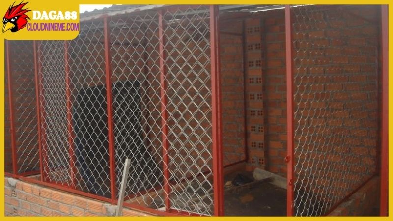 Kỹ thuật nuôi gà chọi được chia sẻ từ sư kê lão làng 6 Kỹ thuật nuôi gà chọi thông qua việc xây chuồng trại