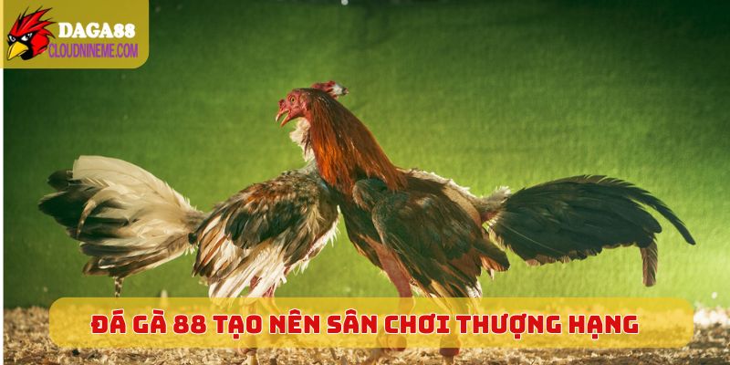 Thương hiệu Đá Gà 88 tạo nên sân chơi thượng hạng